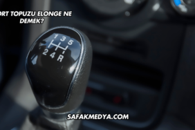 Aort Topuzu Elonge Ne Demek?