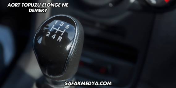Aort Topuzu Elonge Ne Demek?