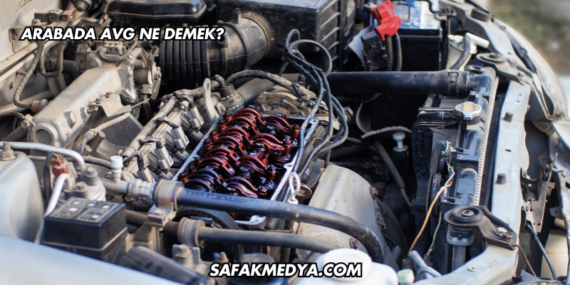 Arabada AVG Ne Demek?