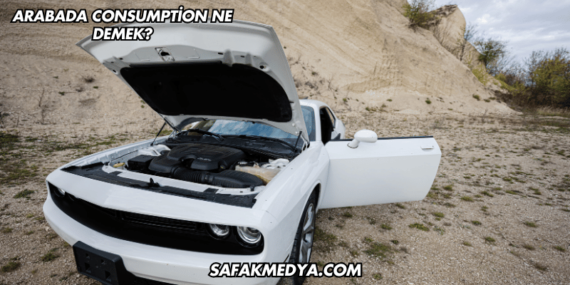 Arabada Consumption Ne Demek?