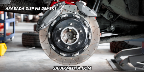 Arabada DISP Ne Demek?