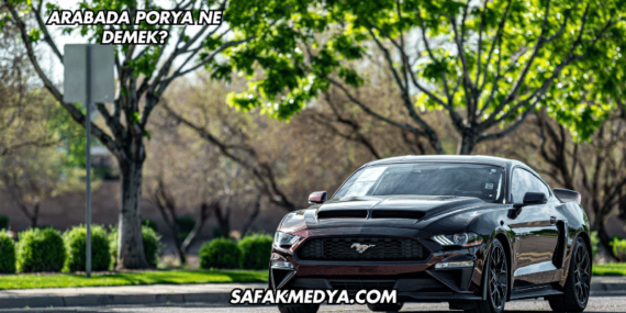 Arabada Porya Ne Demek?
