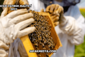 Arıcılık Yatırım Maliyeti 2025