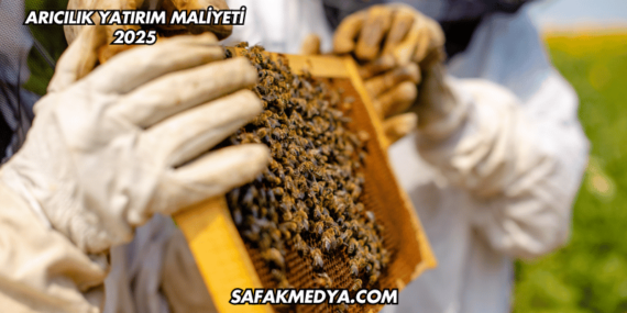 Arıcılık Yatırım Maliyeti 2025