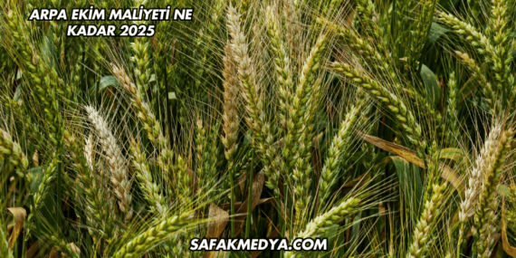 Arpa Ekim Maliyeti Ne Kadar 2025