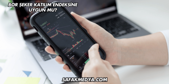 Bor Şeker Katılım Endeksine Uygun mu?