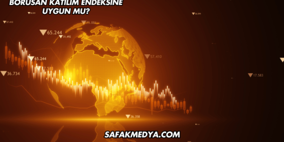 Borusan Katılım Endeksine Uygun mu?