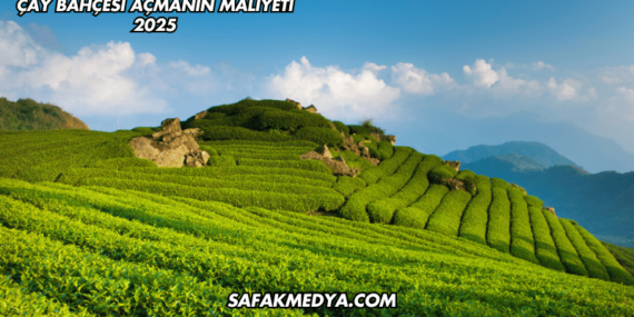 Çay Bahçesi Açmanın Maliyeti 2025
