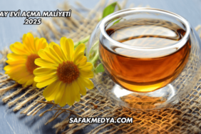 Çay Evi Açma Maliyeti 2025