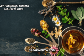 Çay Fabrikası Kurma Maliyeti 2025