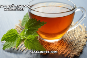 Çay Ocağı Açmanın Maliyeti 2025