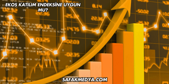 Ekos Katılım Endeksine Uygun mu?