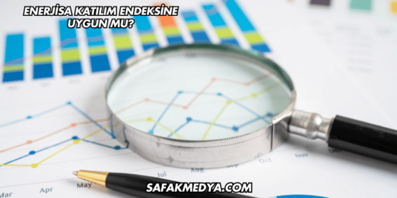 Enerjisa Katılım Endeksine Uygun mu?