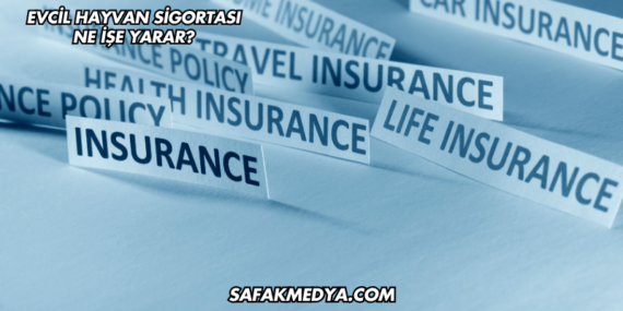 Evcil Hayvan Sigortası Ne İşe Yarar?