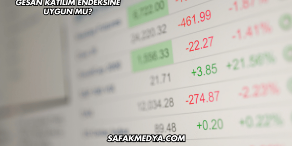 GESAN Katılım Endeksine Uygun mu?