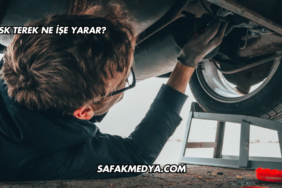 Kask Terek Ne İşe Yarar?