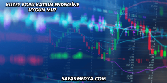 Kuzey Boru Katılım Endeksine Uygun mu?