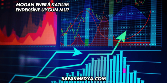Mogan Enerji Katılım Endeksine Uygun mu?