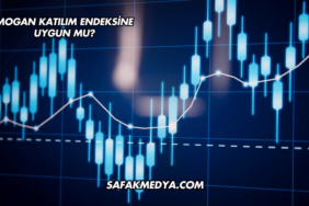 Mogan Katılım Endeksine Uygun mu?