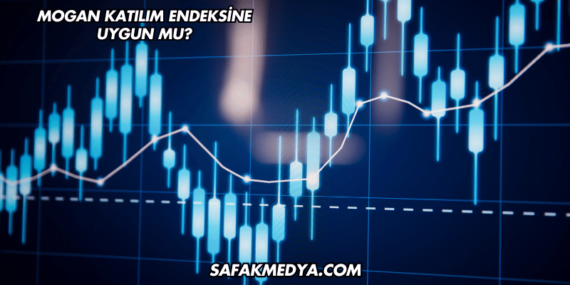 Mogan Katılım Endeksine Uygun mu?