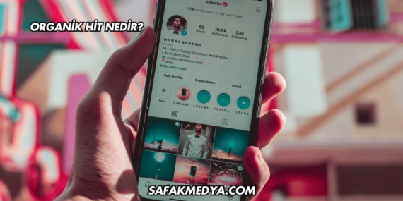 Organik Hit Nedir?