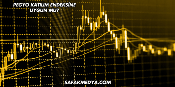 Pegyo Katılım Endeksine Uygun mu?