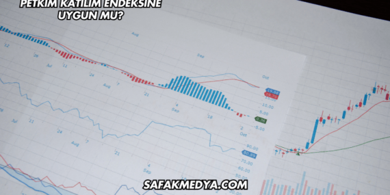 Petkim Katılım Endeksine Uygun mu?