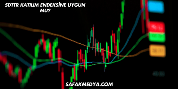 SDTTR Katılım Endeksine Uygun mu?