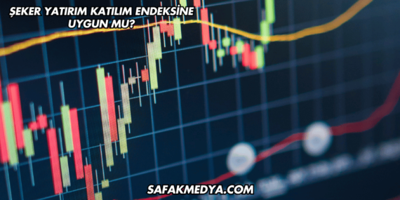 Şeker Yatırım Katılım Endeksine Uygun mu?