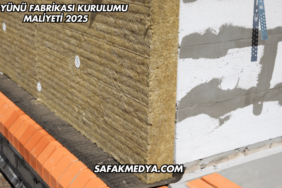 Taşyünü Fabrikası Kurulumu Maliyeti 2025