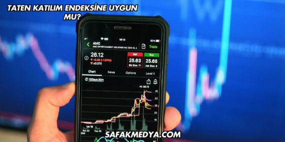 Taten Katılım Endeksine Uygun mu?