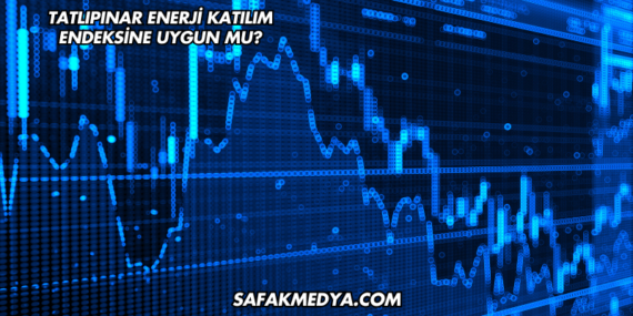 Tatlıpınar Enerji Katılım Endeksine Uygun mu?