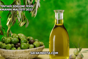 Zeytinyağı Şişeleme Tesisi Kurmanın Maliyeti 2025