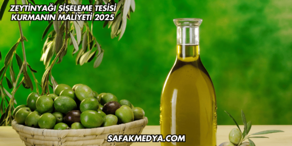 Zeytinyağı Şişeleme Tesisi Kurmanın Maliyeti 2025