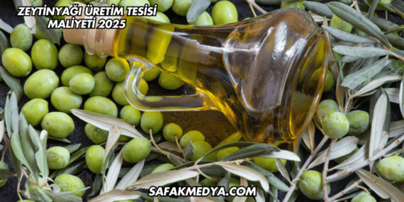Zeytinyağı Üretim Tesisi Maliyeti 2025