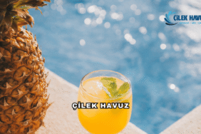 Çilek Havuz Hakkında: Havuz Yapımında Sektörün Öncüsü