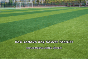 Halı Sahada Kaç Kalori Yakılır?