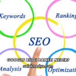 Google Bilgi Paneli Nedir?