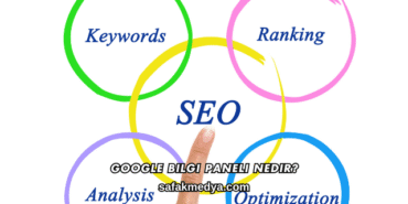 Google Bilgi Paneli Nedir?